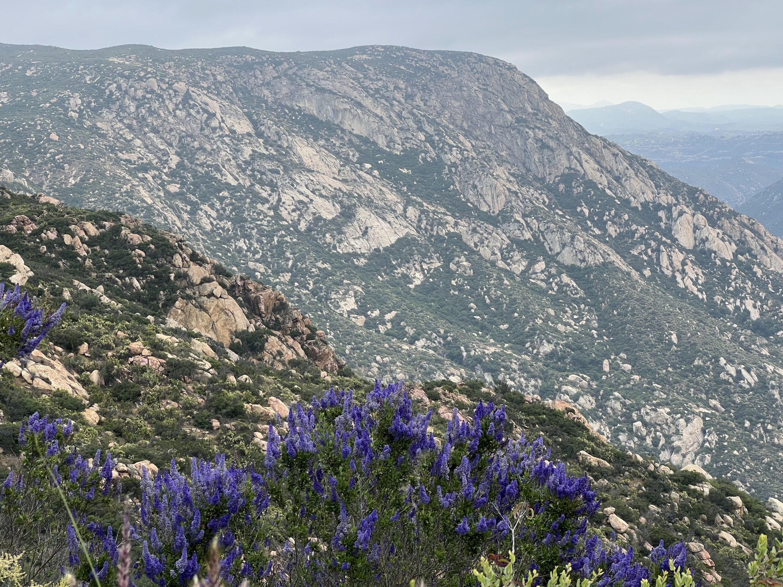 Warrior Hike Challenge